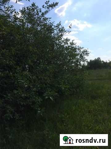 Участок ИЖС 30 сот. на продажу в Сасово Сасово - изображение 1