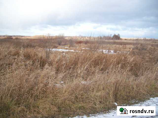 Участок СНТ, ДНП 500 сот. на продажу в Верхнем Дуброво Верхнее Дуброво - изображение 1