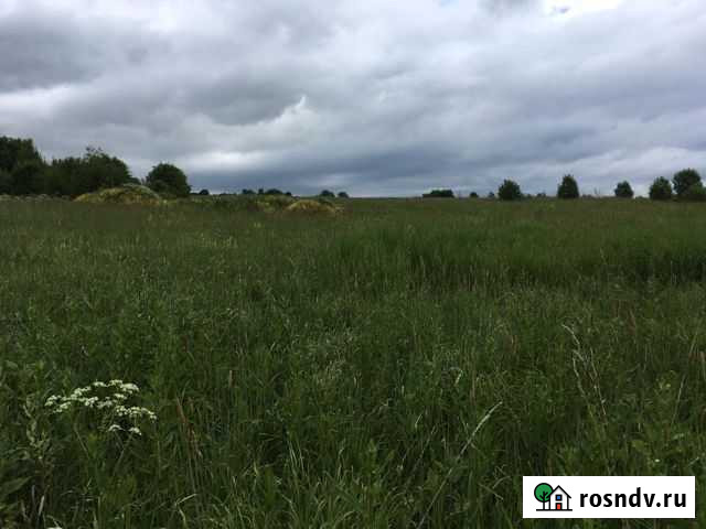 Участок СНТ, ДНП 500 сот. на продажу в Балакирево Балакирево - изображение 1