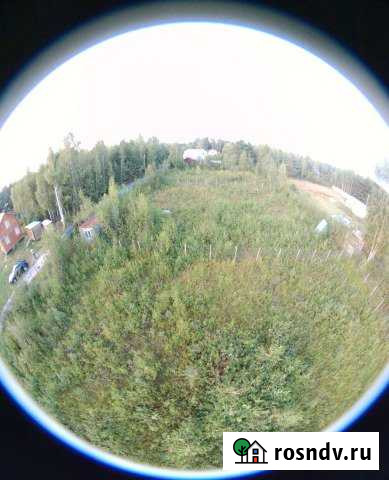 Участок СНТ, ДНП 8 сот. на продажу в Давыдово Давыдово - изображение 1