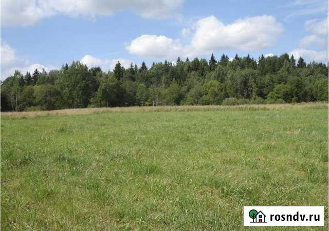 Участок ИЖС 710 сот. на продажу в Плюссе Плюсса - изображение 1