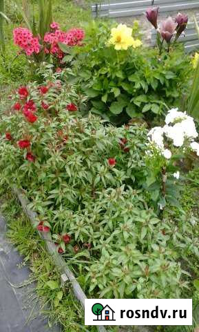 Дача 30 м² на участке 5 сот. на продажу в Нефтеюганске Нефтеюганск - изображение 1