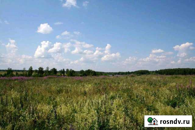 Участок ИЖС 32 сот. на продажу в Дубне Тульской области Дубна - изображение 1