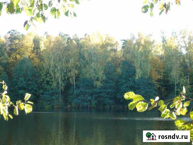 Участок СНТ, ДНП 200 сот. на продажу в Ржеве Ржев - изображение 1