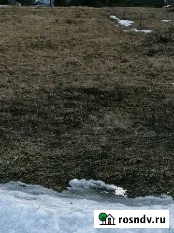 Участок СНТ, ДНП 24 сот. на продажу в Тоншалово Тоншалово - изображение 1