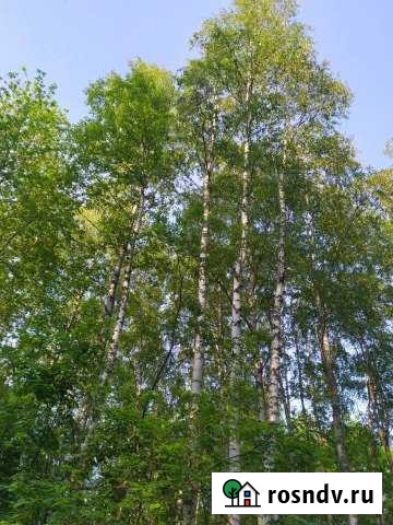 Дача 75 м² на участке 10 сот. на продажу в Мге Мга - изображение 1