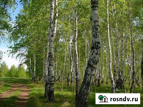 Участок промназначения 20 сот. в аренду во Власихе Власиха - изображение 1