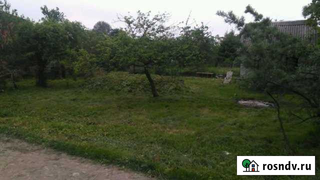 Дача 25 м² на участке 7 сот. на продажу в Калининграде Калининград - изображение 1