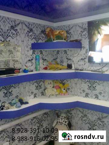 Дом 60 м² на участке 10 сот. на продажу в Эркине-Шахаре Эркин-Шахар - изображение 1