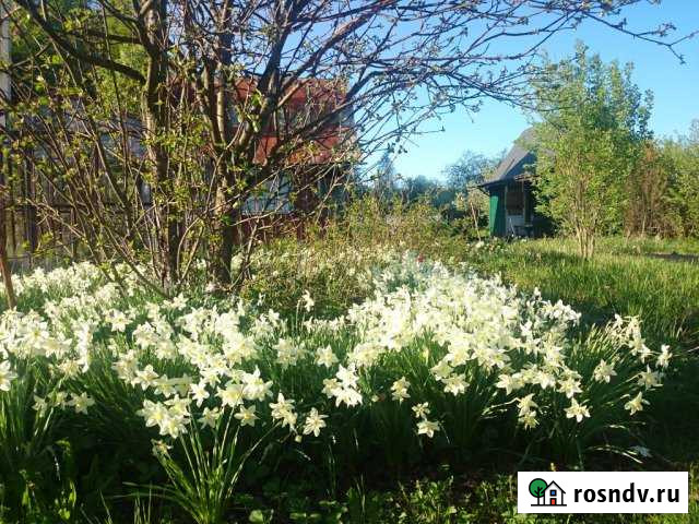 Дача 48 м² на участке 11 сот. на продажу в Иваново Иваново - изображение 1