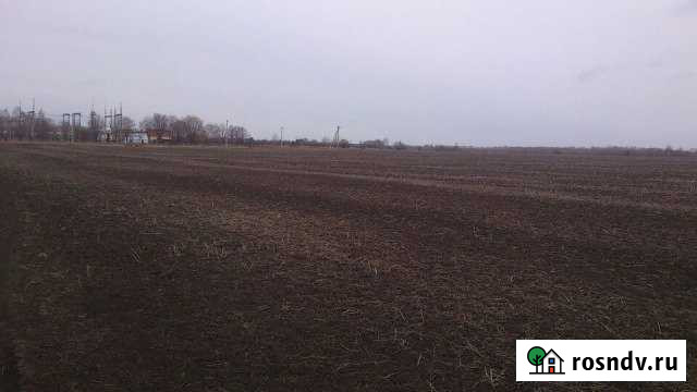 Участок ИЖС 15 сот. на продажу в Кимовске Кимовск - изображение 1