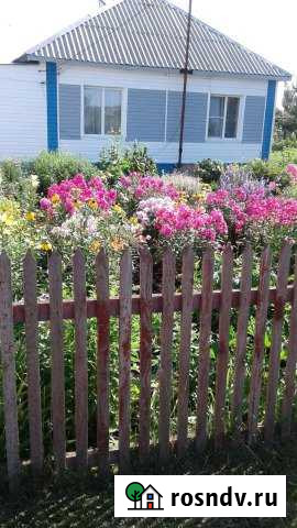 Дом 58 м² на участке 13 сот. на продажу в Топчихе Топчиха - изображение 1