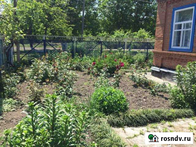 Участок СНТ, ДНП 42 сот. на продажу в Тбилисской Тбилисская - изображение 1