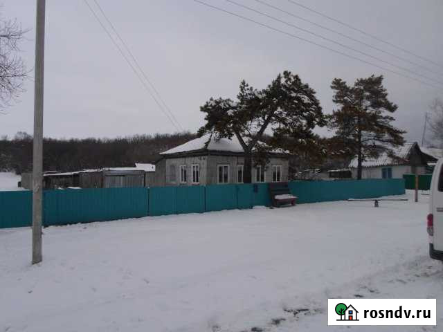 Дом 42 м² на участке 36 сот. на продажу в Завитинске Завитинск - изображение 1