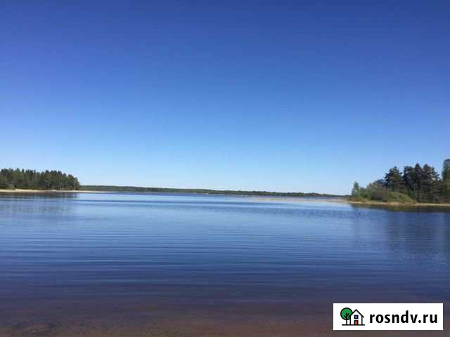 Дом 320 м² на участке 50 сот. на продажу в Демянске Демянск - изображение 1