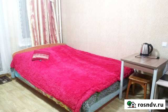 Квартира-студия, 30 м², 2/14 эт. в аренду посуточно в Великих Луках Великие Луки - изображение 1