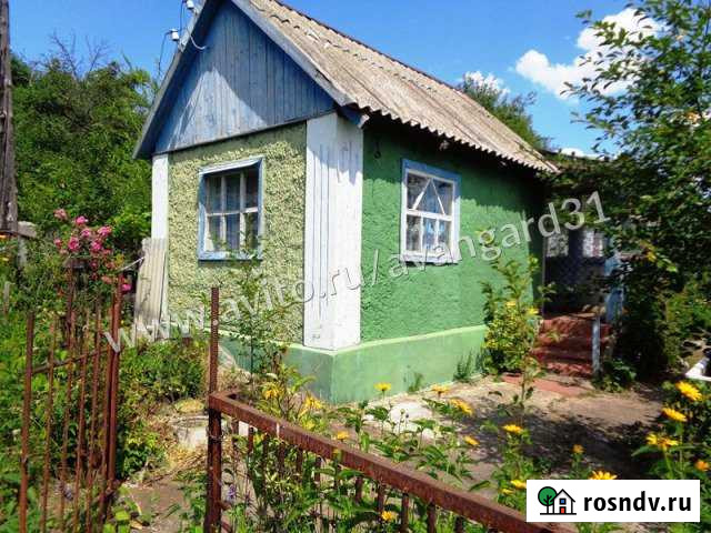 Дача 30 м² на участке 5 сот. на продажу в Северном Белгородской области Северный - изображение 1