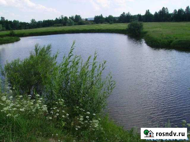 Участок СНТ, ДНП 10 сот. на продажу в Краснокамске Краснокамск - изображение 1