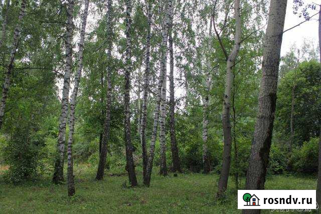 Участок ИЖС 28 сот. на продажу в Кокошкино Кокошкино - изображение 1