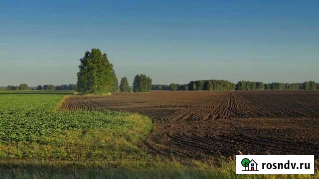 Участок СНТ, ДНП 3000 сот. на продажу в Тарасовском Тарасовский - изображение 1