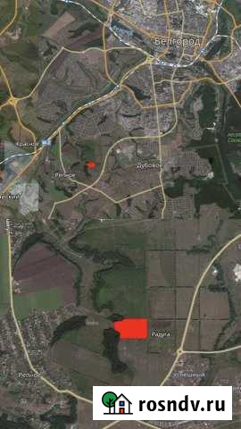 Участок ИЖС 940 сот. на продажу в Дубовом Дубовое - изображение 1