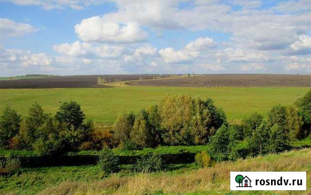 Участок СНТ, ДНП 670 сот. на продажу в Балакирево Балакирево - изображение 1