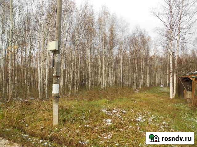 Участок СНТ, ДНП 6 сот. на продажу в Покрове Покров - изображение 1