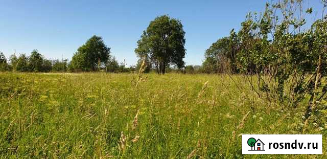 Участок СНТ, ДНП 170 сот. на продажу в Коммунаре Коммунар - изображение 1