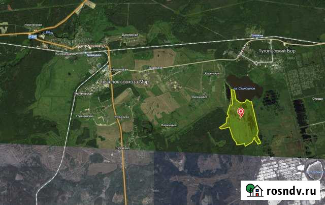 Участок СНТ, ДНП 19300 сот. на продажу в Шатуре Шатура - изображение 1