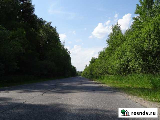 Участок ИЖС 20 сот. на продажу в Петушках Петушки - изображение 1