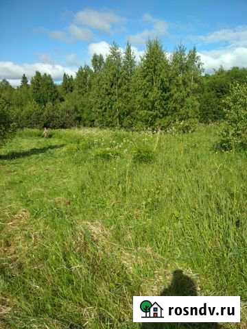 Участок ИЖС 20 сот. на продажу в Нерехте Нерехта - изображение 1