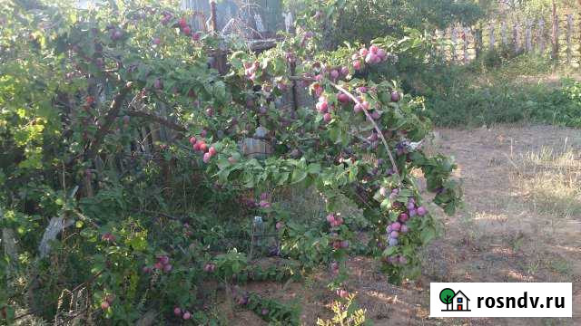 Дача 20 м² на участке 8 сот. на продажу в Началово Началово - изображение 1