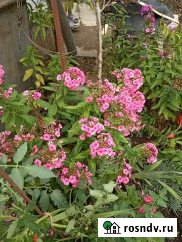 Дача 36 м² на участке 5 сот. на продажу в Майкопе Майкоп - изображение 1