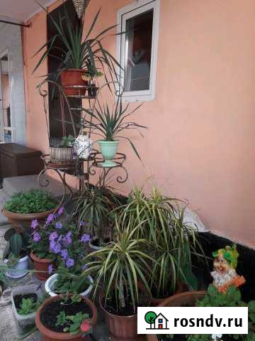 Комната 20 м² в 8-ком. кв., 1/1 эт. в аренду посуточно в Соль-Илецке Соль-Илецк - изображение 1