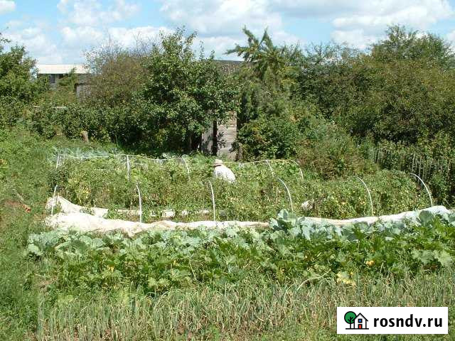 Участок СНТ, ДНП 6 сот. на продажу в Спасск-Рязанском Спасск-Рязанский - изображение 1