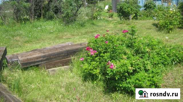 Участок СНТ, ДНП 15 сот. на продажу в Зеленогорском Зеленогорский - изображение 1