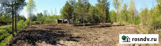 Участок СНТ, ДНП 8 сот. на продажу в Шлиссельбурге Шлиссельбург - изображение 1