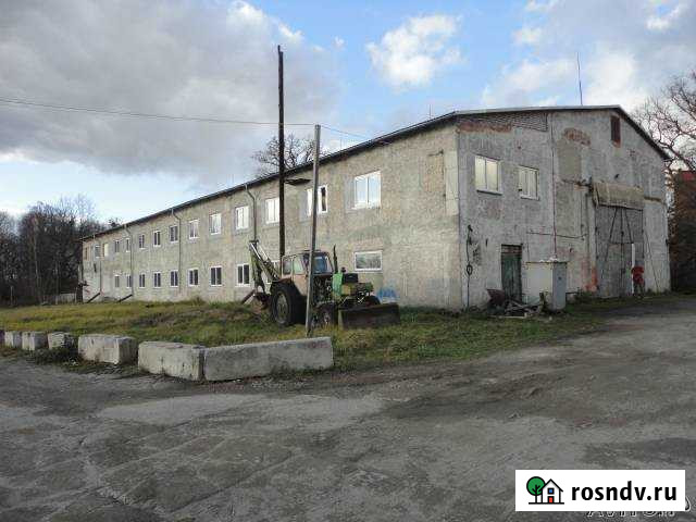 Участок промназначения 300 сот. на продажу в Калининграде Калининград - изображение 1