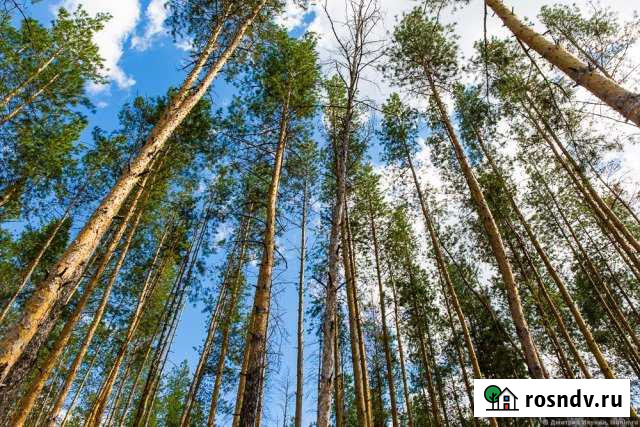 Участок ИЖС 10 сот. на продажу в Борском Борское - изображение 1