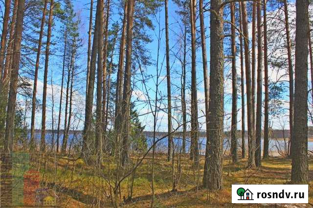 Участок ИЖС 75 сот. на продажу в Осташкове Осташков - изображение 1