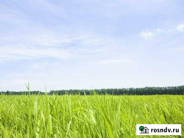 Участок СНТ, ДНП 1700 сот. на продажу в Корткеросе Корткерос - изображение 1