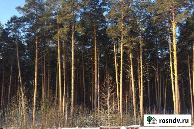 Коттедж 550 м² на участке 15 сот. в аренду на длительный срок в Сысерти Сысерть - изображение 1