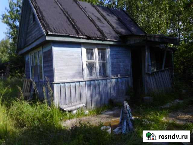 Дача 20 м² на участке 4.5 сот. на продажу в Панковке Панковка - изображение 1