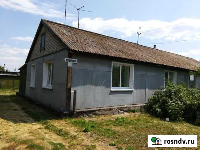 Дом 47.5 м² на участке 9 сот. на продажу в Староалейском Староалейское - изображение 1