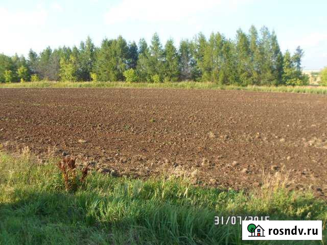 Участок СНТ, ДНП 600 сот. на продажу в Лаишево Лаишево - изображение 1