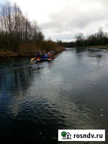 Участок ИЖС 25 сот. на продажу в Сиверском Сиверский - изображение 1