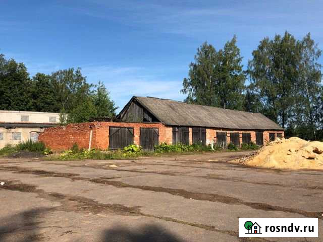 Помещение свободного назначения, 448 кв.м. Сольцы - изображение 1