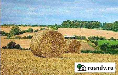Участок СНТ, ДНП 100000 сот. на продажу в Сухиничах Сухиничи
