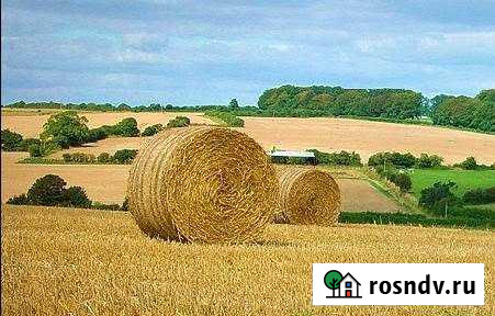 Участок СНТ, ДНП 100000 сот. на продажу в Сухиничах Сухиничи - изображение 1