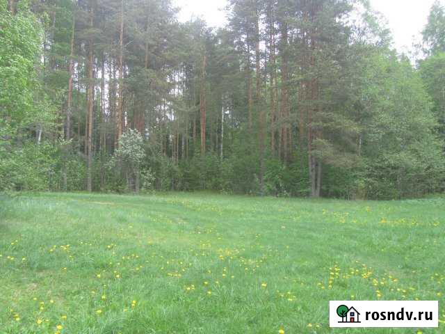 Участок СНТ, ДНП 100 сот. на продажу в Сясьстрое Сясьстрой - изображение 1